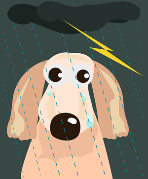 Calming your dog during thunderstorms