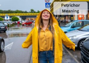 Petrichor Meaning