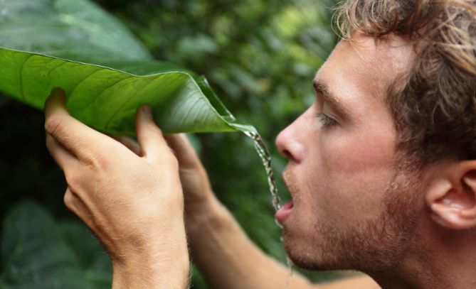 make rain water safe to drink