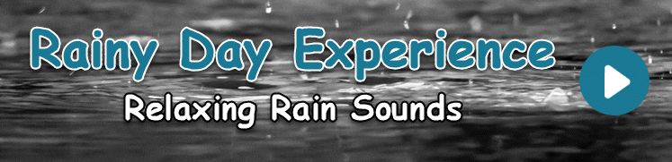 rainy day experience