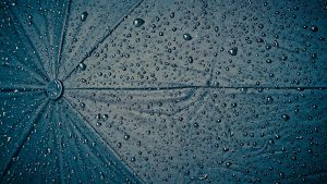 raindrops umbrella wallpaper