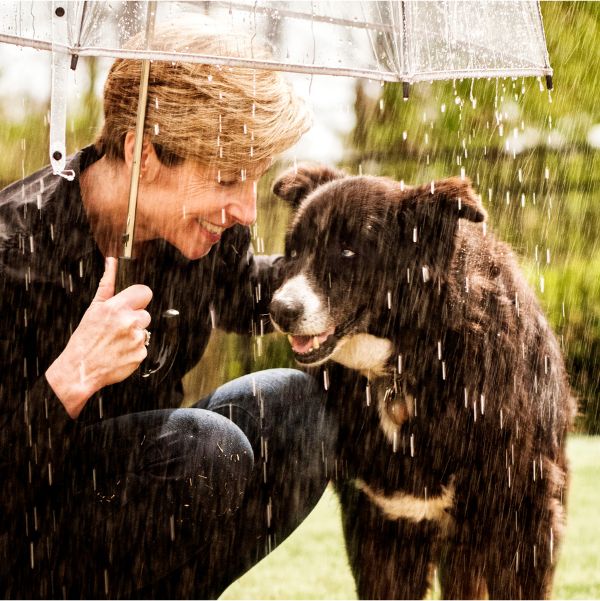 what to do with dog on rainy day
